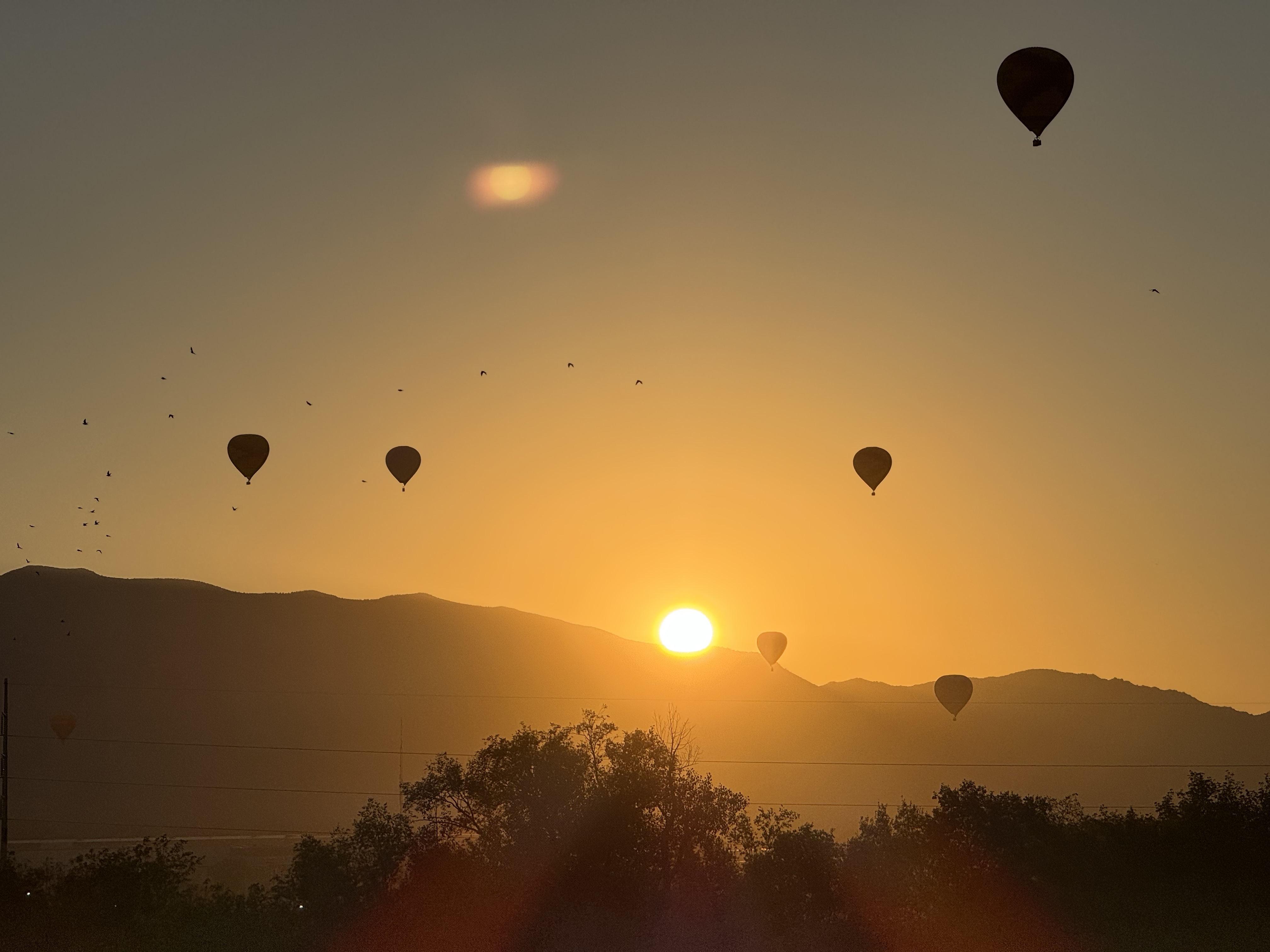 Hot-air balloons over Albuquerque at sunrise